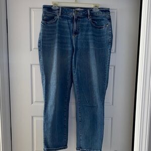 LOFT Classic Blue Jeans